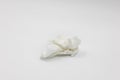 One crumpled white paper used napkin isolated Royalty Free Stock Photo