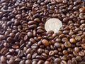 One Cuba Dollar closeup on coffee beans background