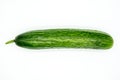 One Cucumber isolated on White Royalty Free Stock Photo