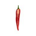 Half of red hot chili pepper with seeds inside. Spicy vegetable. Natural product. Cooking ingredient. Flat vector icon Royalty Free Stock Photo