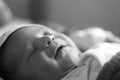 One day old new born baby black and white photo Royalty Free Stock Photo