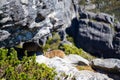 Table mountain in cape town