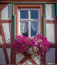 One decorative window in Bernkastel, Germany accented with. colo