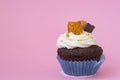 One delicious cupcake on a pink background. White air cream cake decorated with chocolate and candied fruit. Cupcake in a blue Royalty Free Stock Photo