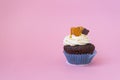 One delicious cupcake on a pink background. White air cream cake decorated with chocolate and candied fruit. Cupcake in a blue Royalty Free Stock Photo