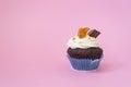 One delicious cupcake on a pink background. White air cream cake decorated with chocolate and candied fruit. Cupcake in Royalty Free Stock Photo