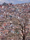 Hillside housing at Shimla in northern India Royalty Free Stock Photo