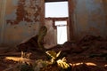 One of the dilapidated rooms of the hotel in the railway village called Putsonderwater in South Africa