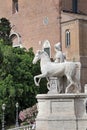 One of the Dioscuri, on Cordonata del Campidoglio, in Rome. Royalty Free Stock Photo