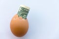 One dollar in an egg shell on white background Royalty Free Stock Photo