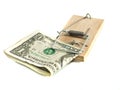 One Dollar in the mousetrap Royalty Free Stock Photo