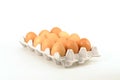 One Dozen Eggs Royalty Free Stock Photo