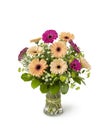 One Dozen Gerbera Daisies Flower Arrangement in a Vase with Aster Accents Isolated on White Space - Florist Design