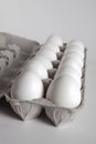 One Dozen White Eggs Inside an Egg Carton Royalty Free Stock Photo