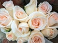 One dozen white roses Royalty Free Stock Photo