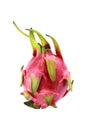 one dragon fruit isolated on white Royalty Free Stock Photo