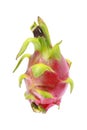 one dragon fruit isolated on white Royalty Free Stock Photo