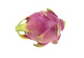 One dragon fruit isolated on white background Royalty Free Stock Photo
