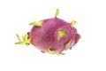 One dragon fruit isolated on white background. Royalty Free Stock Photo