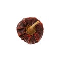 One dried Nora Pepper on white background. Design element, copy space Royalty Free Stock Photo