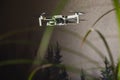 One drone flying in the air over autumn forest Royalty Free Stock Photo