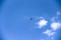 One drone on white blue sky clouds on background and space Royalty Free Stock Photo