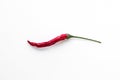 One dry red green chili pepper isolated lie on a white background  close-up macro Royalty Free Stock Photo