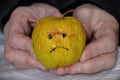 One dry sluggish apple with a sad smile in the hands of an old woman, hunger and a bad harvest, sadness