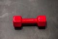 One dumbbell of red in the latex shell lies on the gray floor in the center of the photo