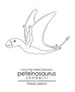 One of the earliest pterosaur Peteinosaurus Zambellii