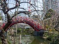 Plum Blossom and the Arch