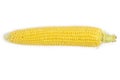 One ears ripe corn white background. Royalty Free Stock Photo