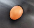 One Egg with black background