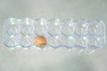 One egg in the box. Container for eggs isolated. Royalty Free Stock Photo