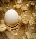 One egg on the egg cartons , single object , copy space with dark background Royalty Free Stock Photo