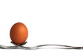 Chicken egg stands on two forks on a white isolated background. Royalty Free Stock Photo