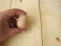 One egg in the hand