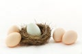 One egg inside the nest and four eggs outside Royalty Free Stock Photo