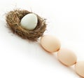 One egg inside the nest and other in queue Royalty Free Stock Photo