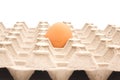 one egg lying on egg box isolated on white background Royalty Free Stock Photo