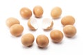 The one egg open with other enclose for looking Royalty Free Stock Photo
