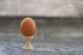 One egg standing in holder on the wooden background. Royalty Free Stock Photo