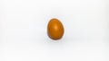 One egg on a white background isolated in eye level view Royalty Free Stock Photo