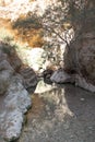 Ein Bokek Brook Natural Pool, The Dead Sea Royalty Free Stock Photo