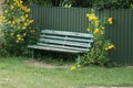 One empty blue old wooden bench Royalty Free Stock Photo