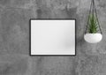 Single 8x10 Horizontal Pink Frame mockup with green plant in vase on concrete wall Royalty Free Stock Photo