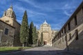 Cathedral of Salamanca Royalty Free Stock Photo