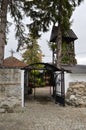 Entry into the orthodox church