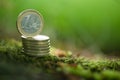 One Euro Coin on pile of coins in Nature - Green Money Royalty Free Stock Photo