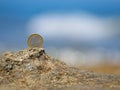 One Euro coin on rocky beach against blurred blue sea Royalty Free Stock Photo